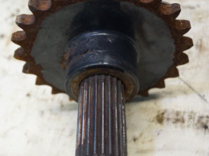 Case 8010