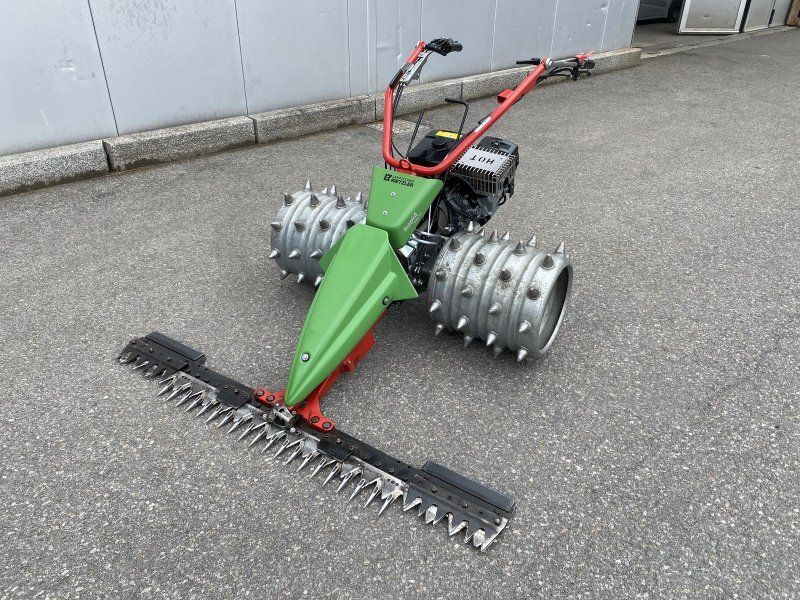 Rapid Swiss