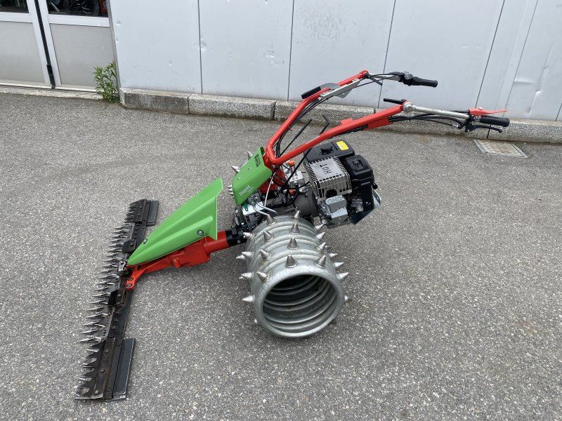 Rapid Swiss