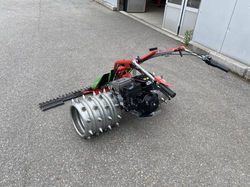 Rapid Swiss