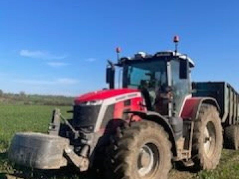 Massey Ferguson 8S-205 D7