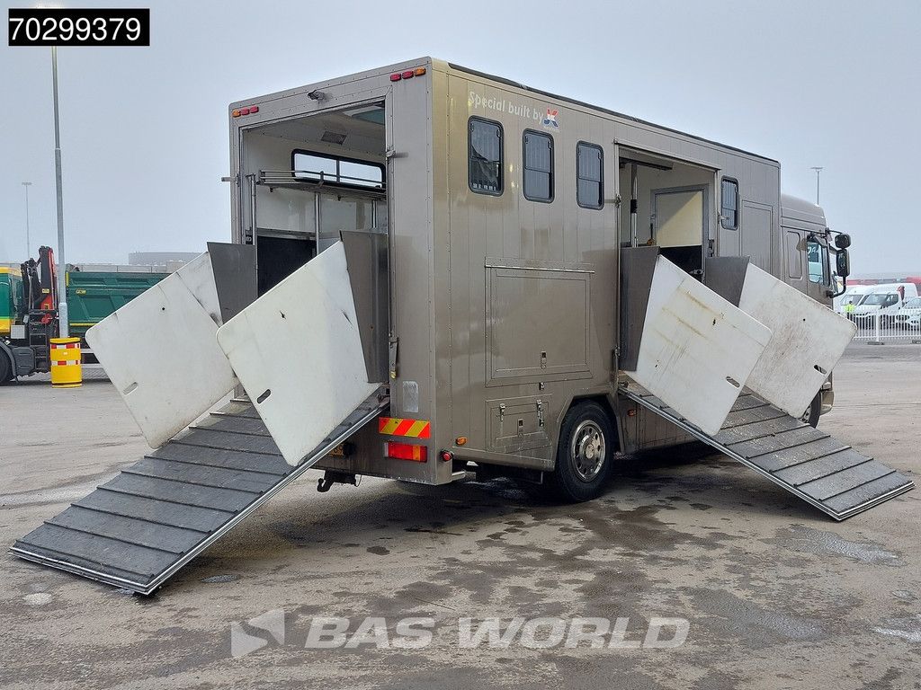 DAF XF XF105.410 4X2 NL-Truck APK JK Horsetruck 6 Horses Pferdentransport Manual Euro 5