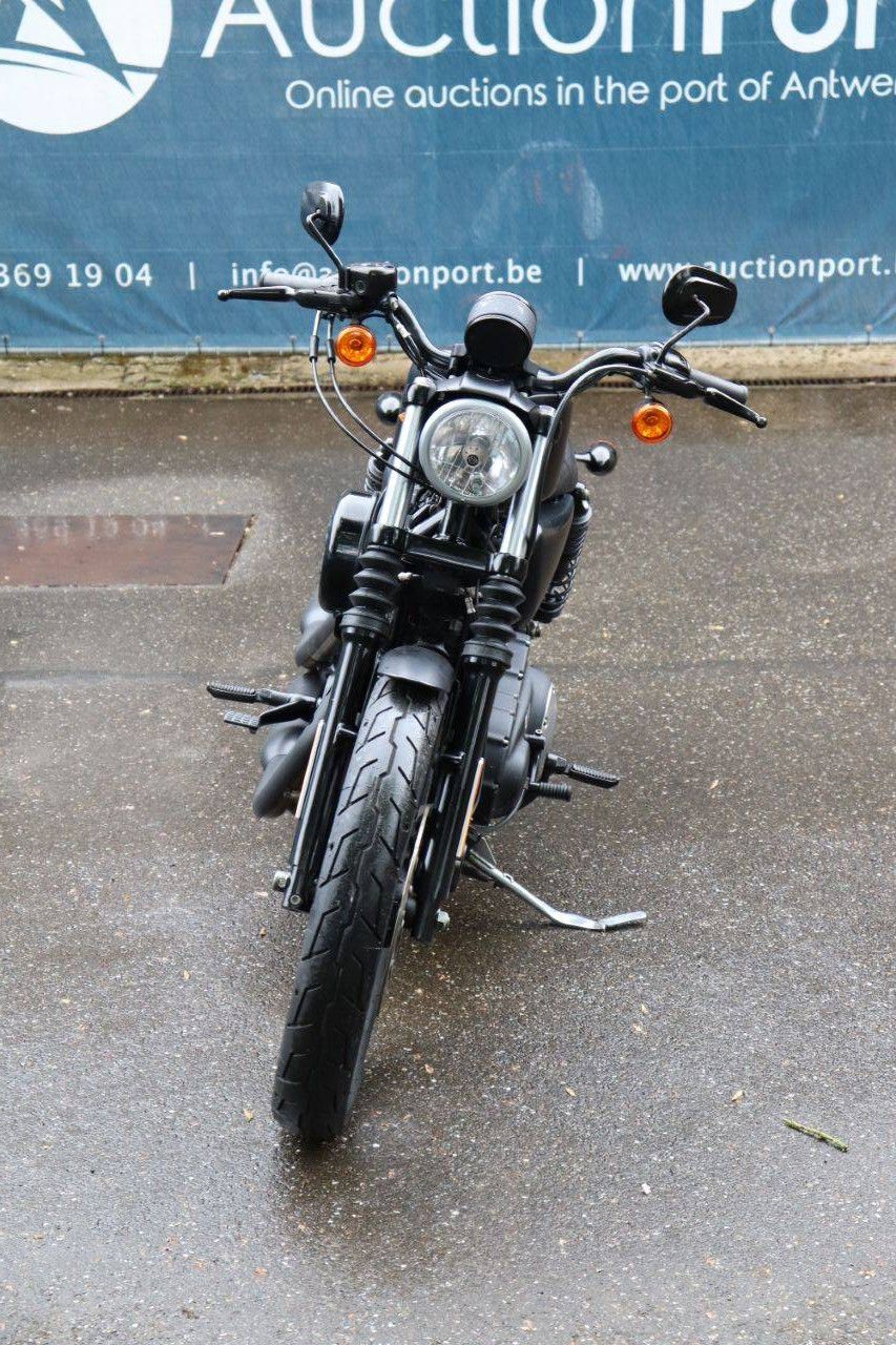 Motorrad Harley Davidson Sportster XL883 Iron Benzin 2016