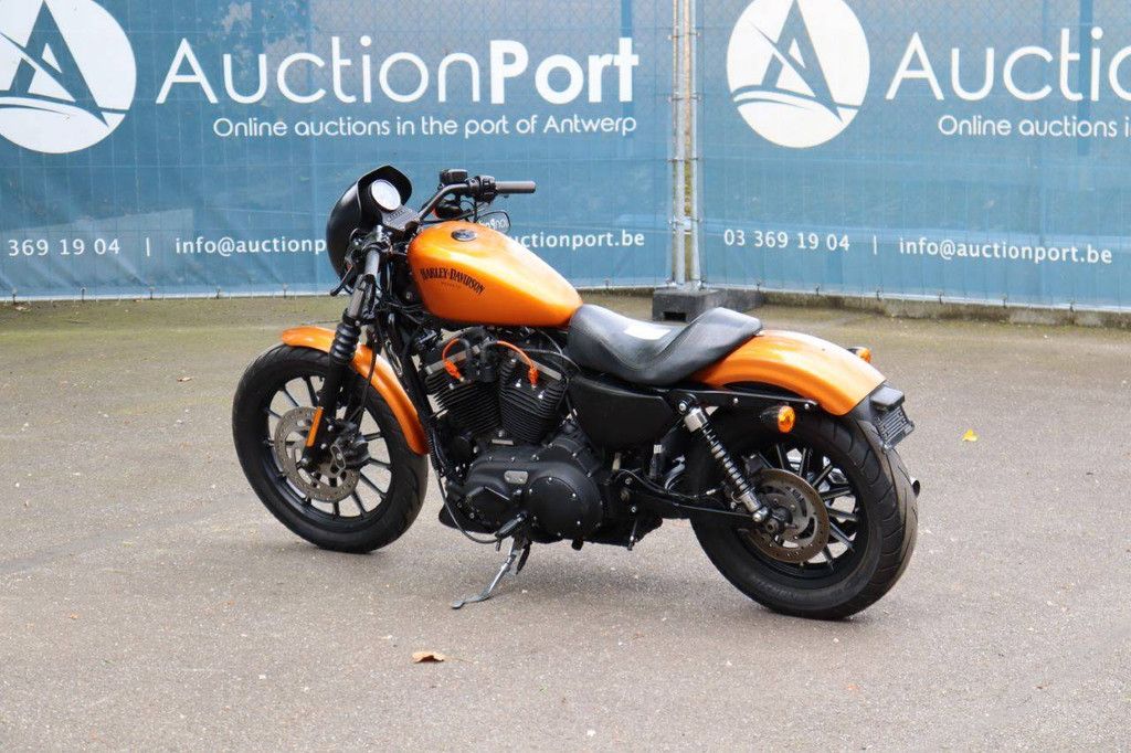 Motorcycle Harley Davidson Sportster XL883 Iron Petrol 2013