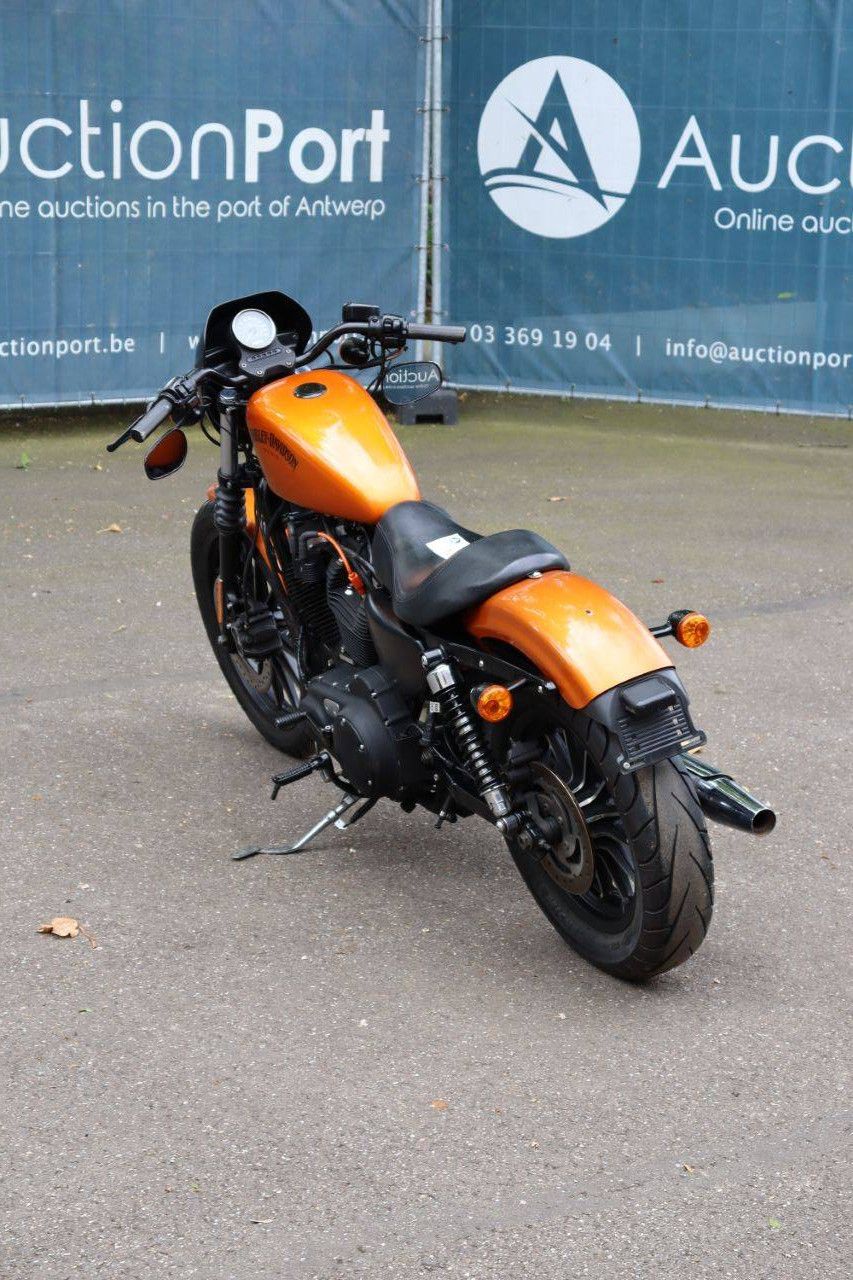 Motorcycle Harley Davidson Sportster XL883 Iron Petrol 2013
