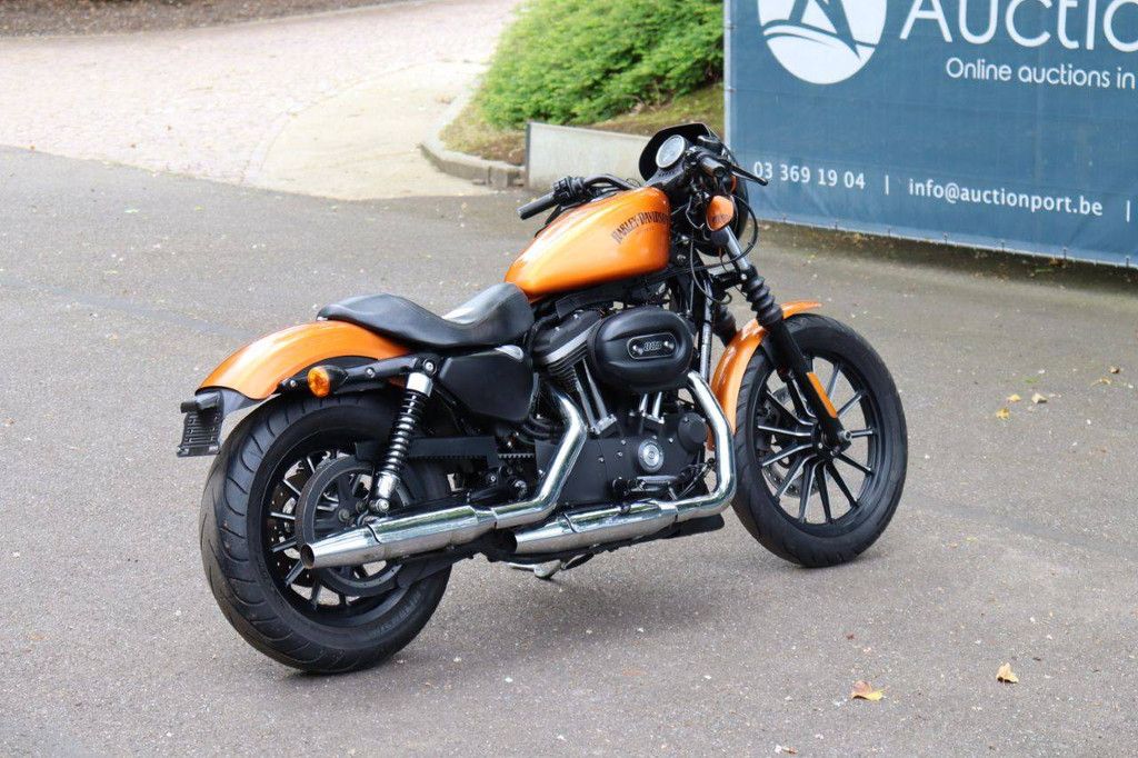 Motorcycle Harley Davidson Sportster XL883 Iron Petrol 2013