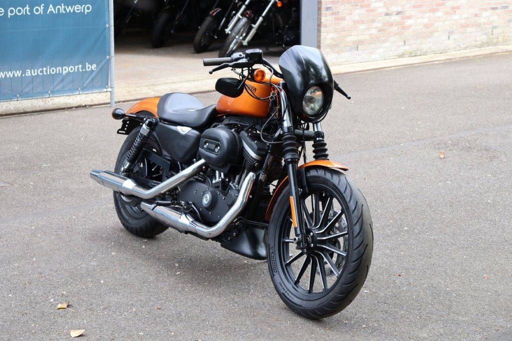 Motorcycle Harley Davidson Sportster XL883 Iron Petrol 2013