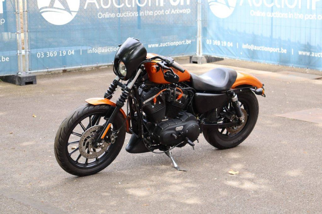 Motorcycle Harley Davidson Sportster XL883 Iron Petrol 2013