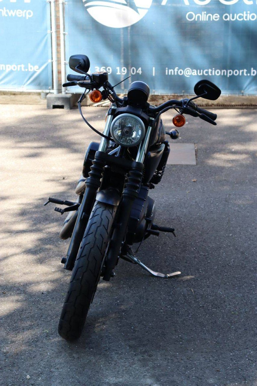Motorrad Harley-Davidson Sporter XL883 Iron Benzin 2016