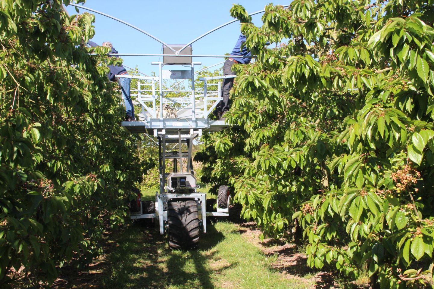 100% elektrische hoogwerker fruitteelt hoogwerker frutec