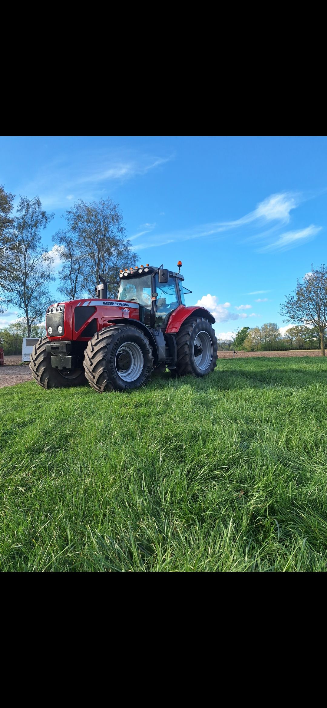 Ferguson 8480