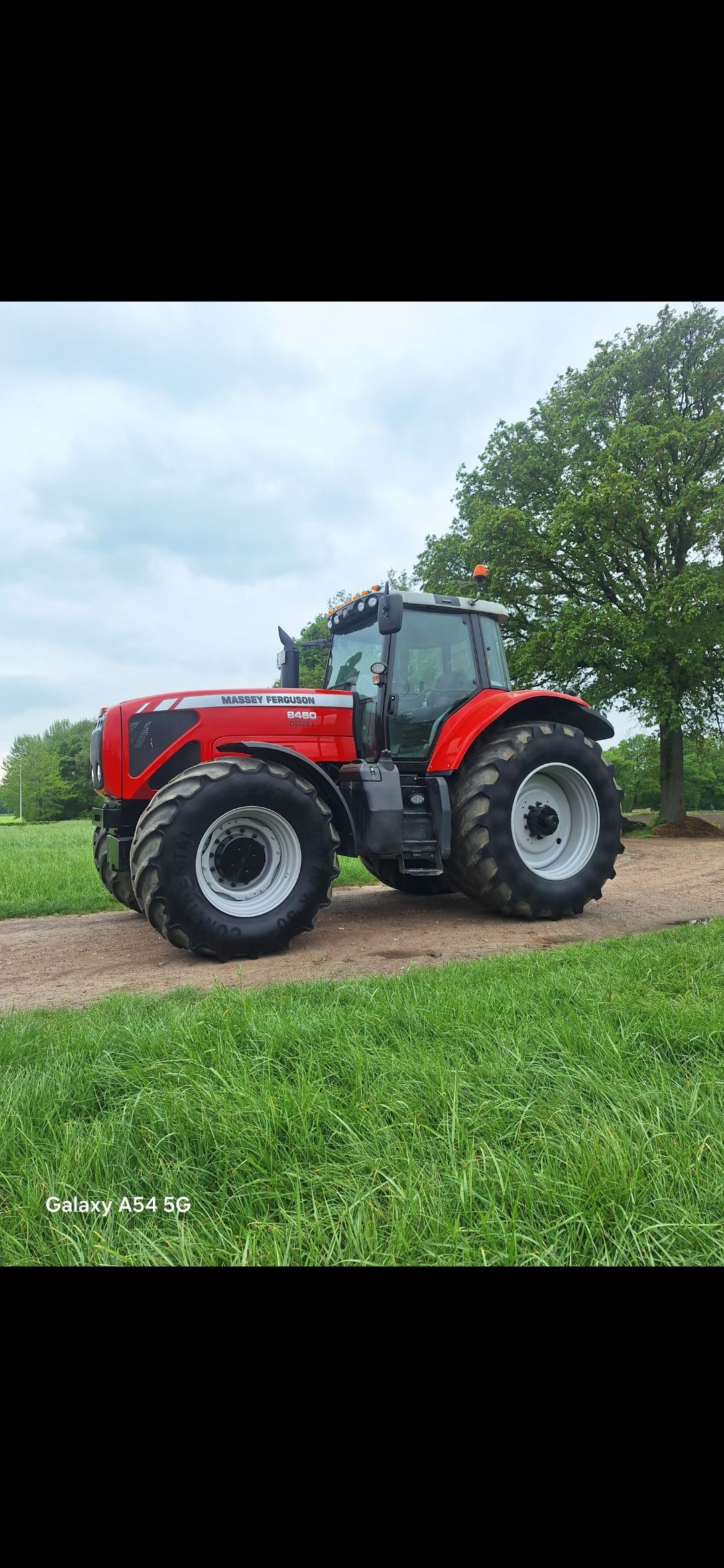 Ferguson 8480