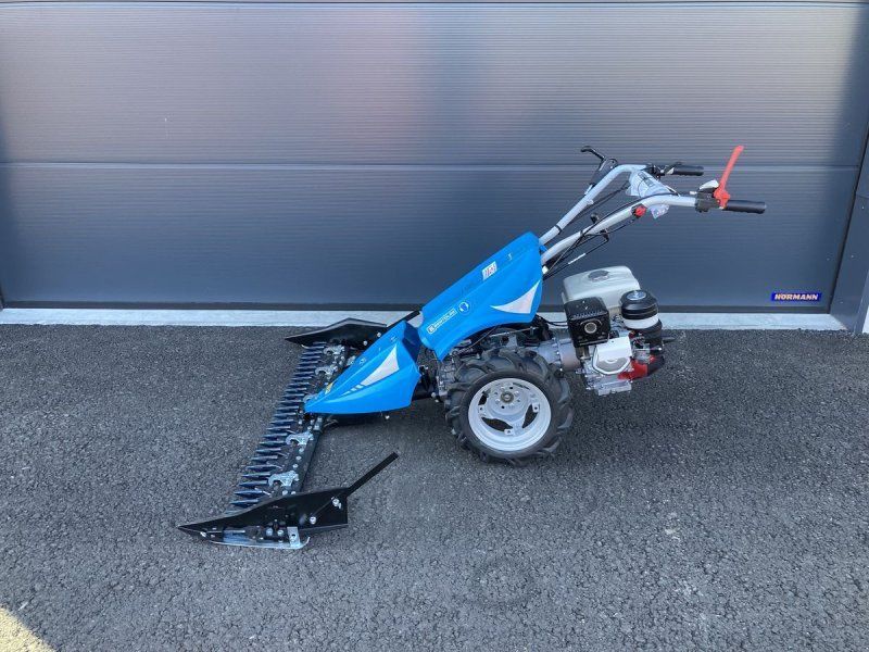 Bertolini B 143