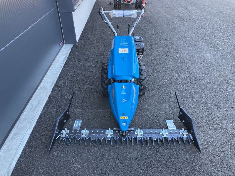Bertolini B 143