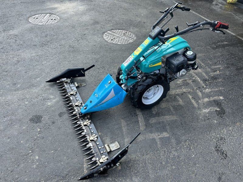 Bertolini B411