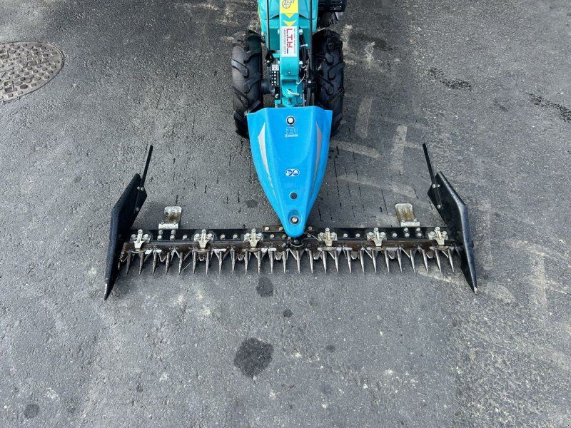 Bertolini B411