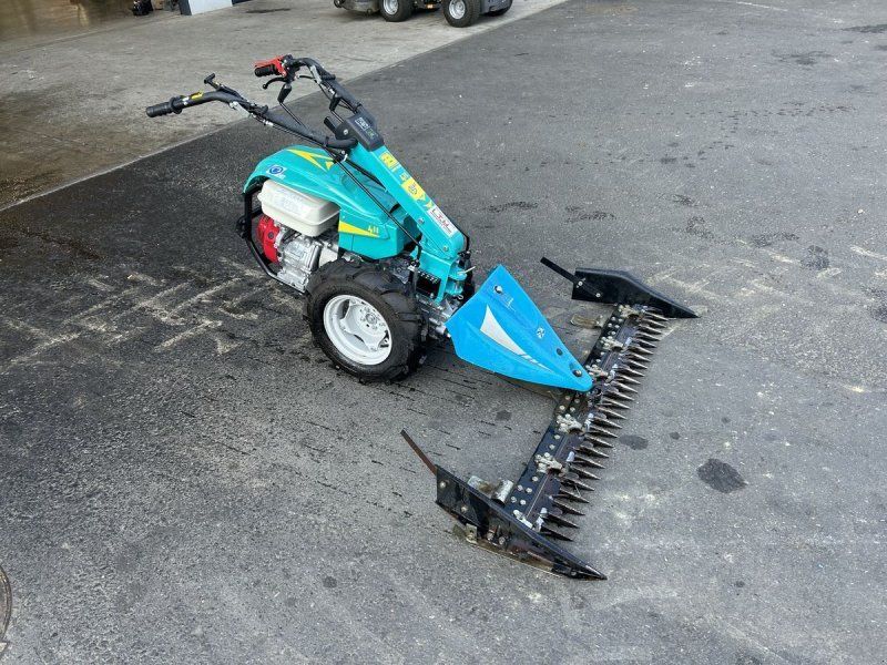 Bertolini B411