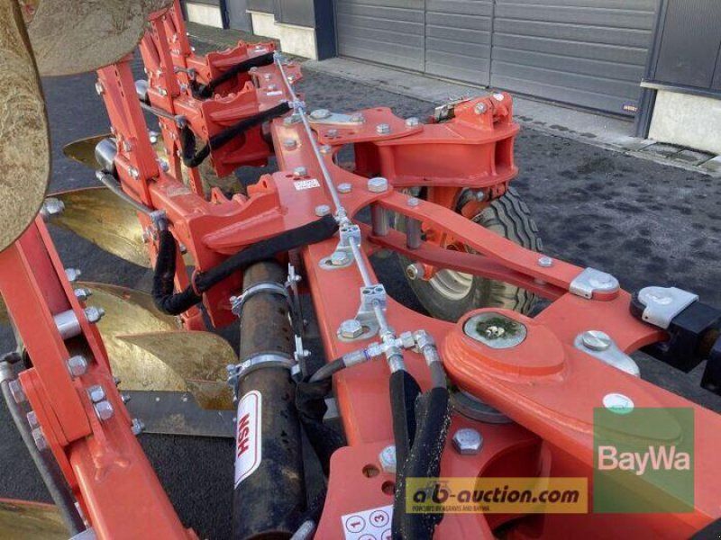 Maschio UNICO M PASSO NON-STOP