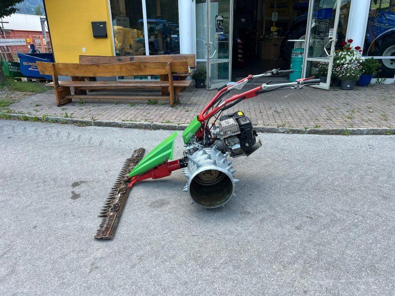 Rapid Sonstiges