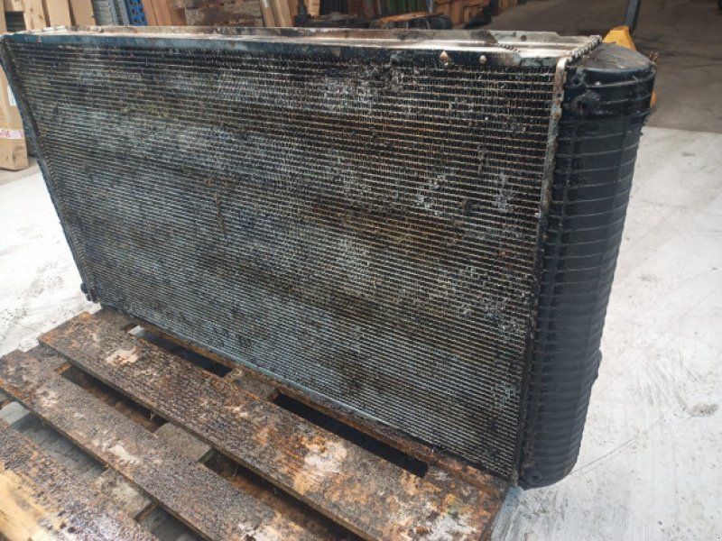 Case 8010