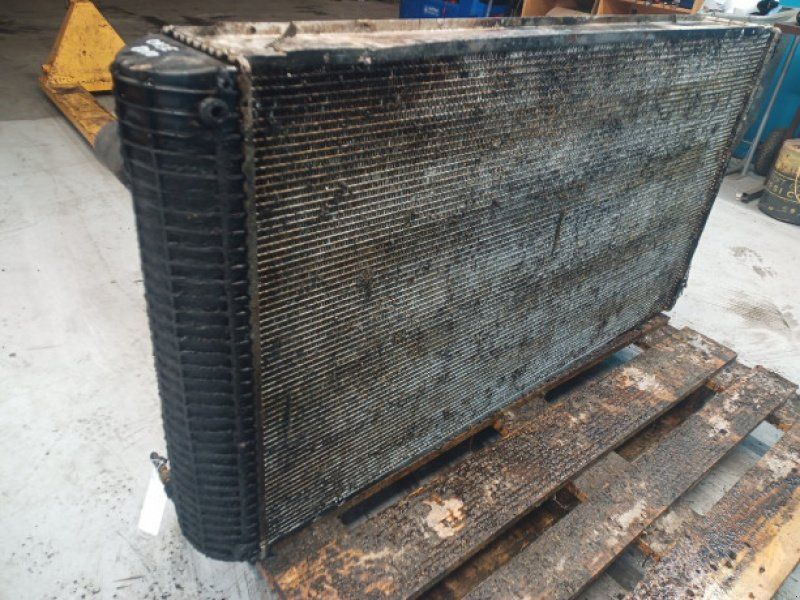 Case 8010
