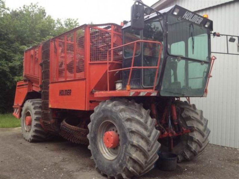 Holmer Classic Terra Dos
