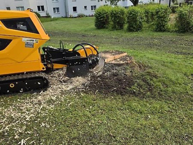 Laski P 56 RX  Stubbenfräse Wurzel Stockfräse Fräs