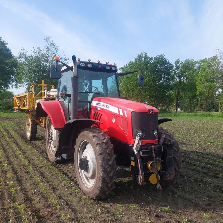 MASSEY FERGUSON 6465 DYNA 6