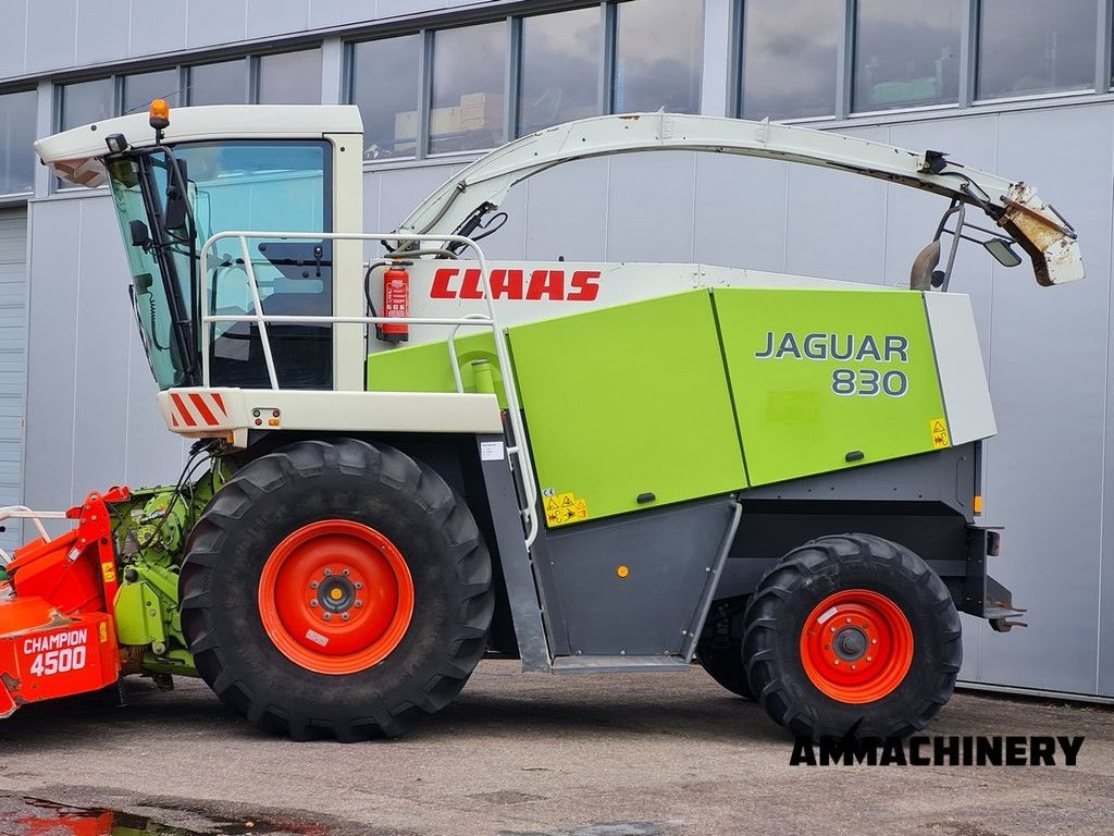 Claas Jaguar 830