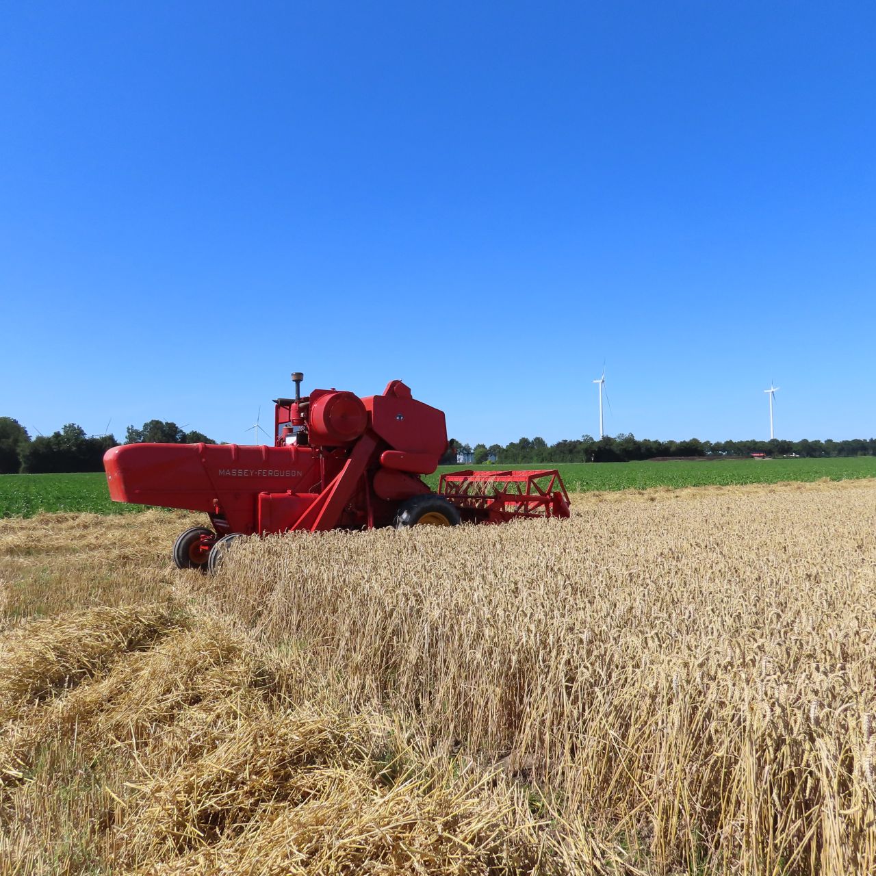 Massey Ferguson
