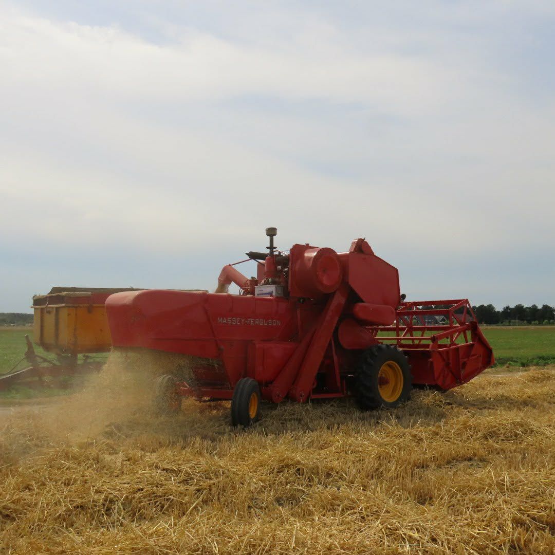 Massey Ferguson