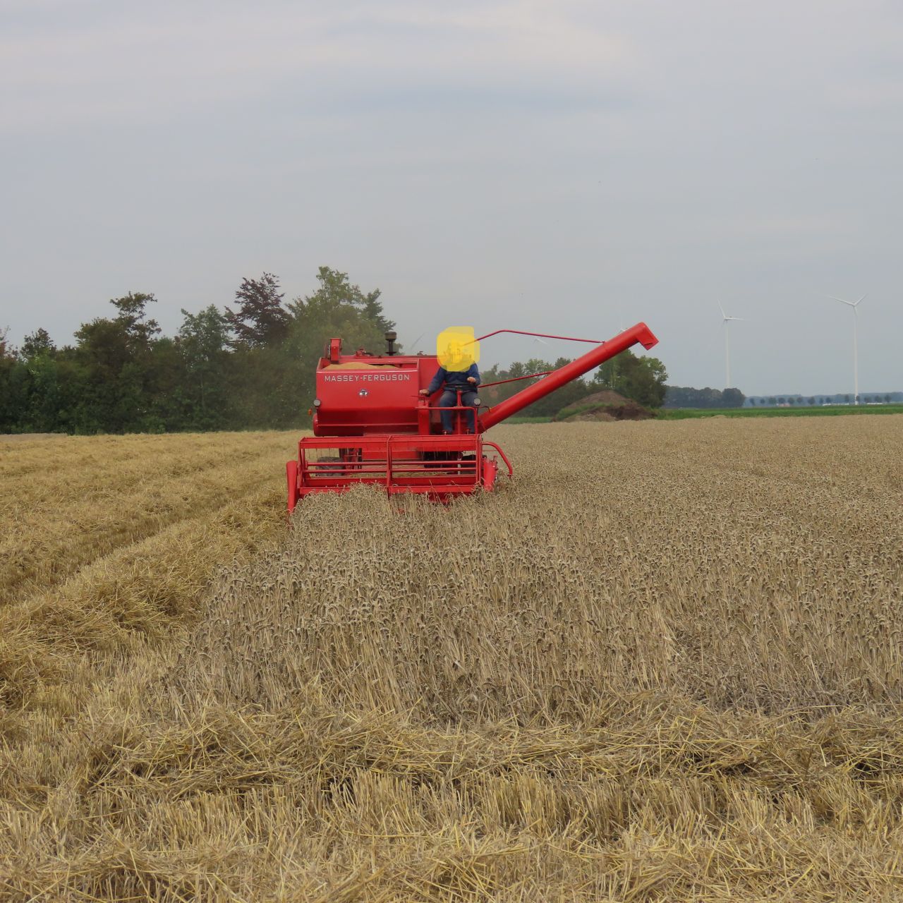 Massey Ferguson