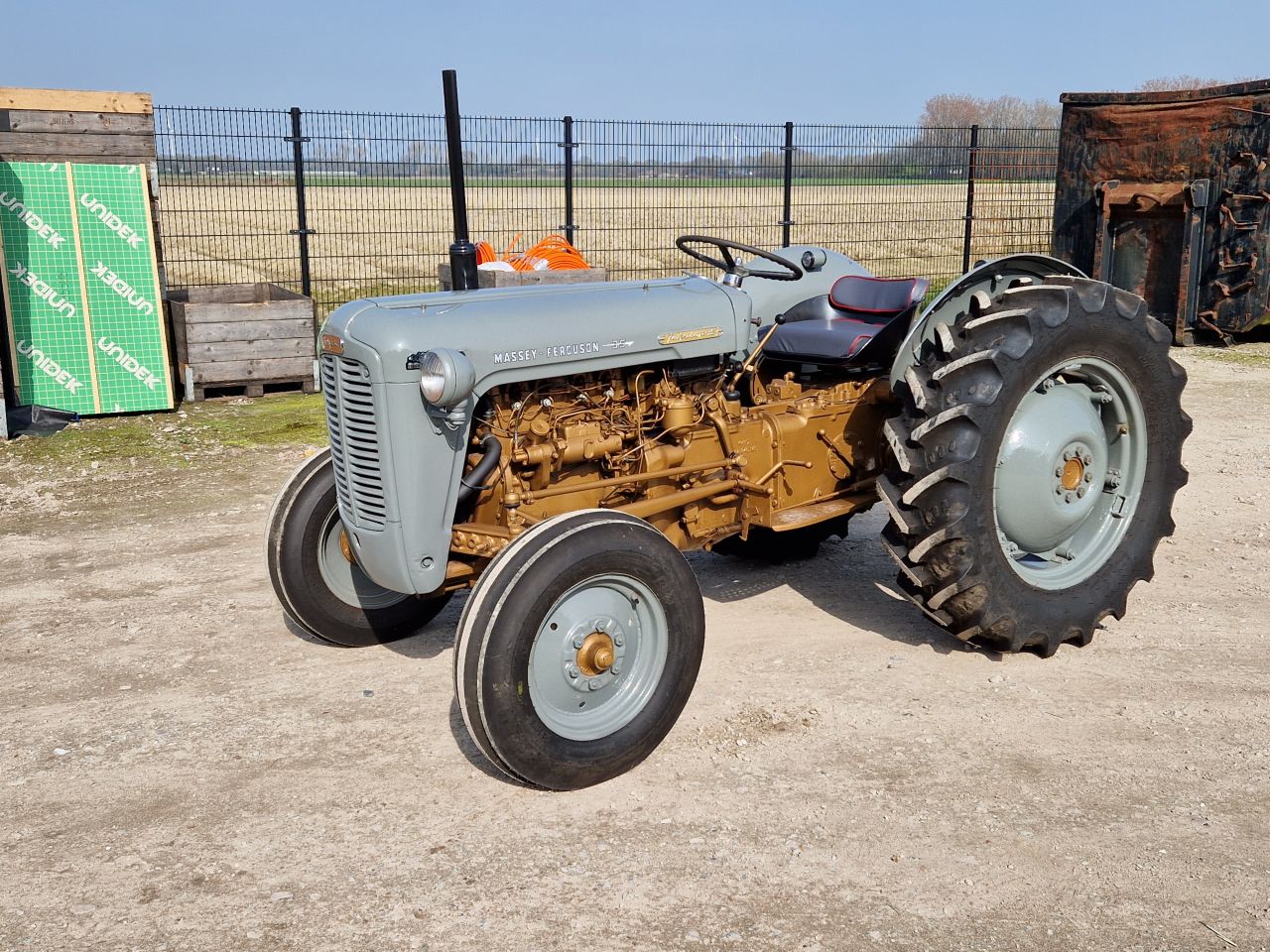 Massey Ferguson Goudbuik / Diesel