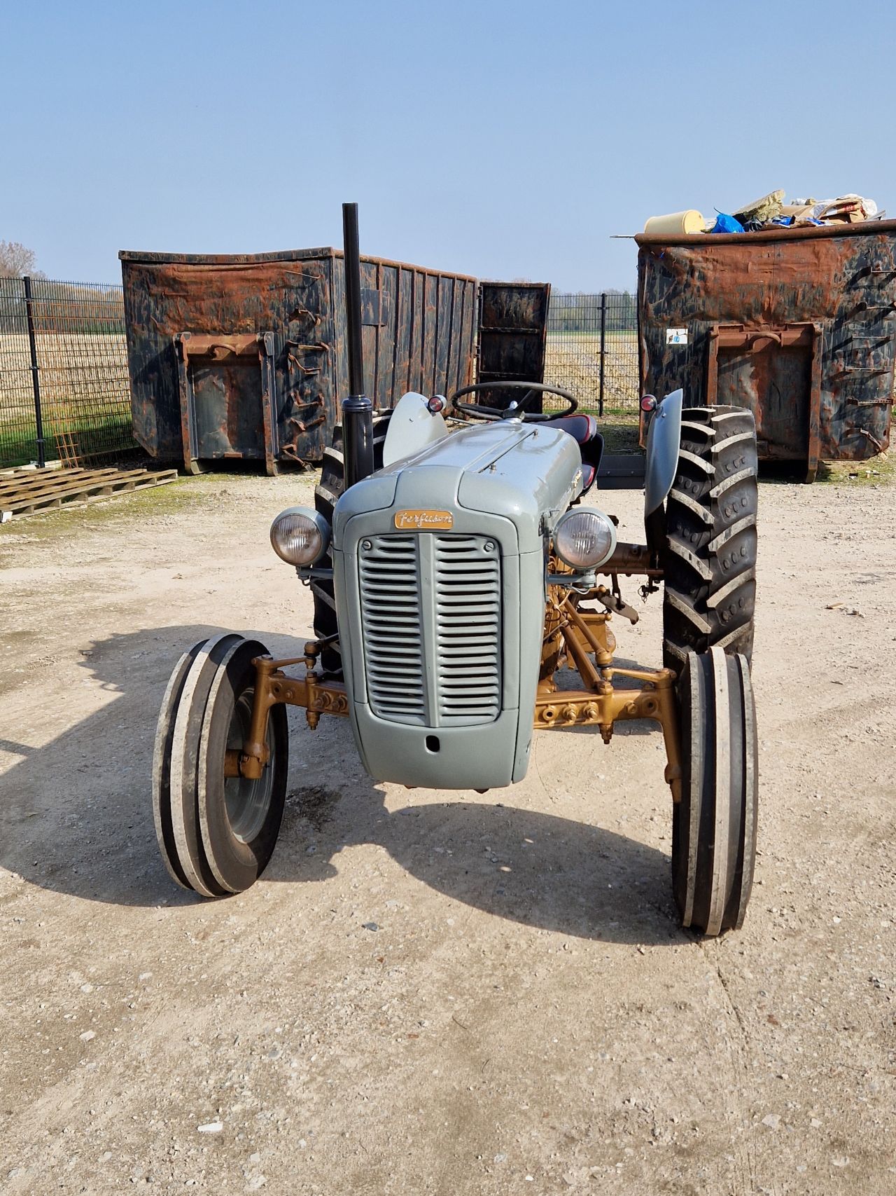 Massey Ferguson Goudbuik / Diesel