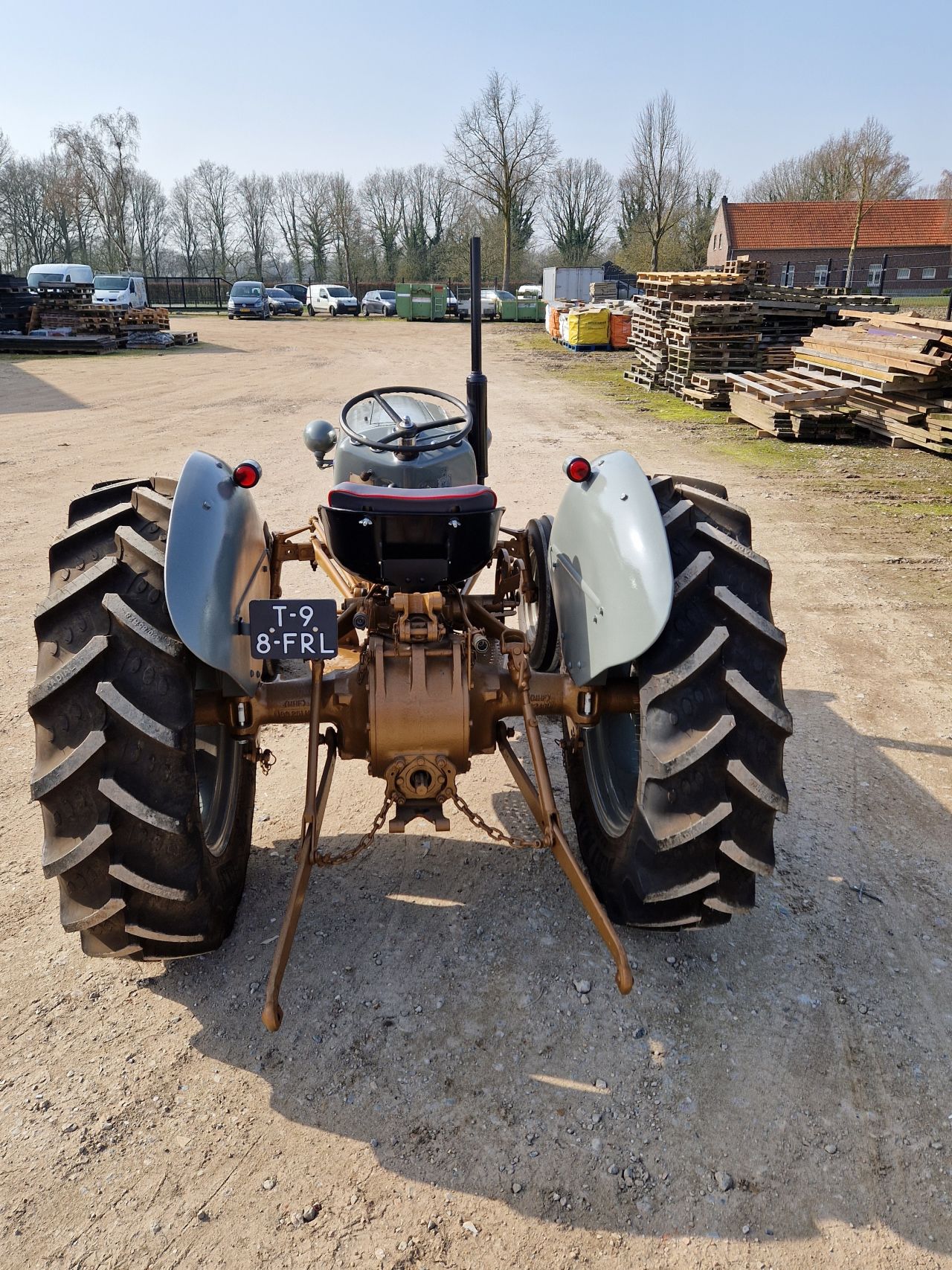 Massey Ferguson Goudbuik / Diesel