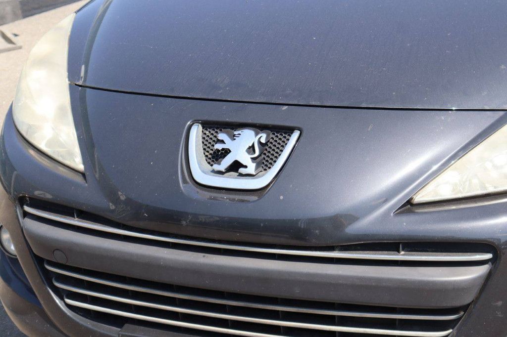 Passenger car Peugeot 207 Diesel 90hp 2010 (Margin)