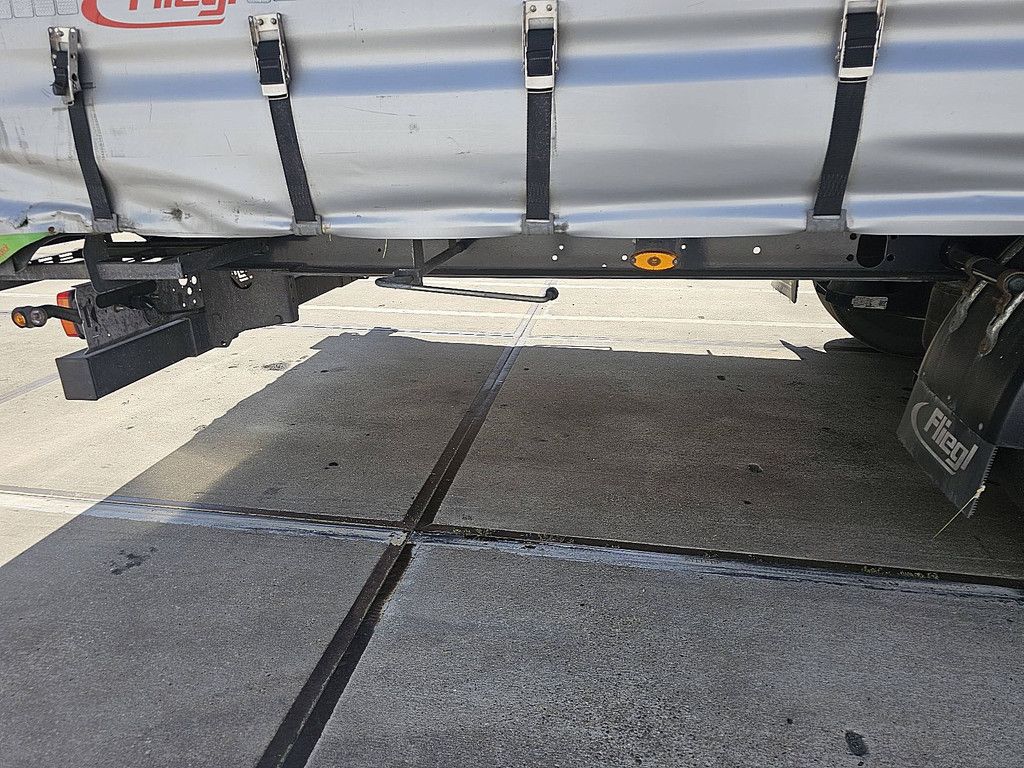 FLIEGL SDS 390