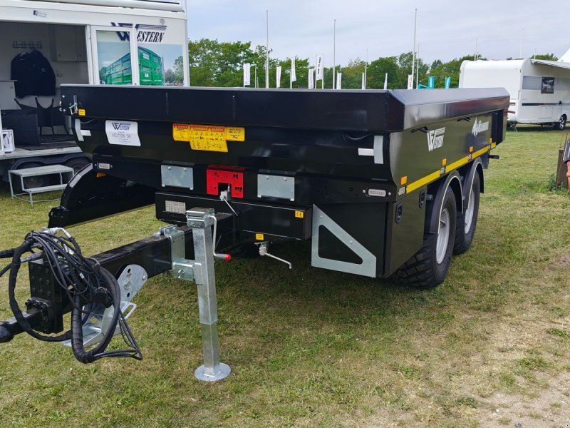 Western Diamond8.5 Se den på Stand 106 Roskilde Dyrskue