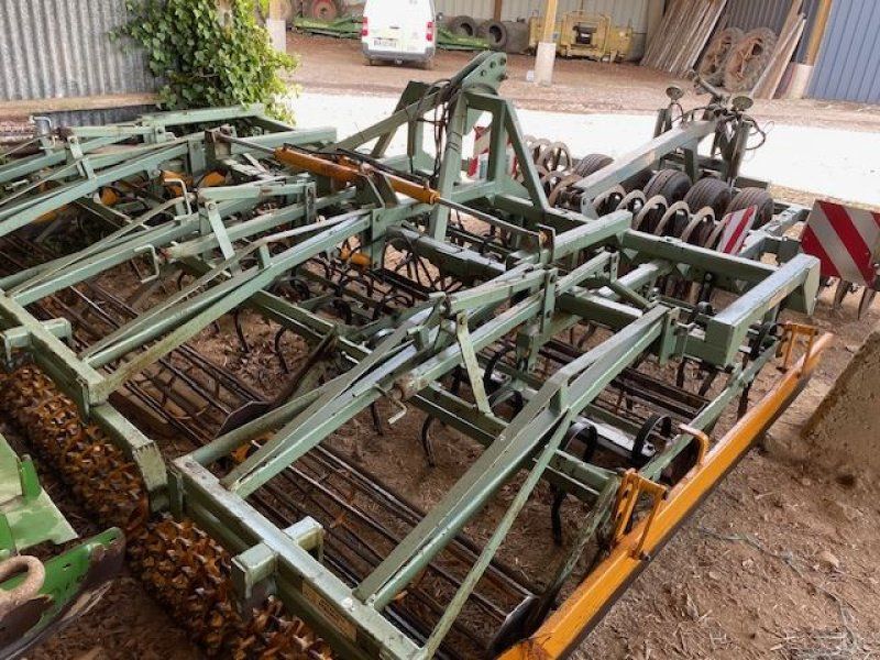 BICULTOR