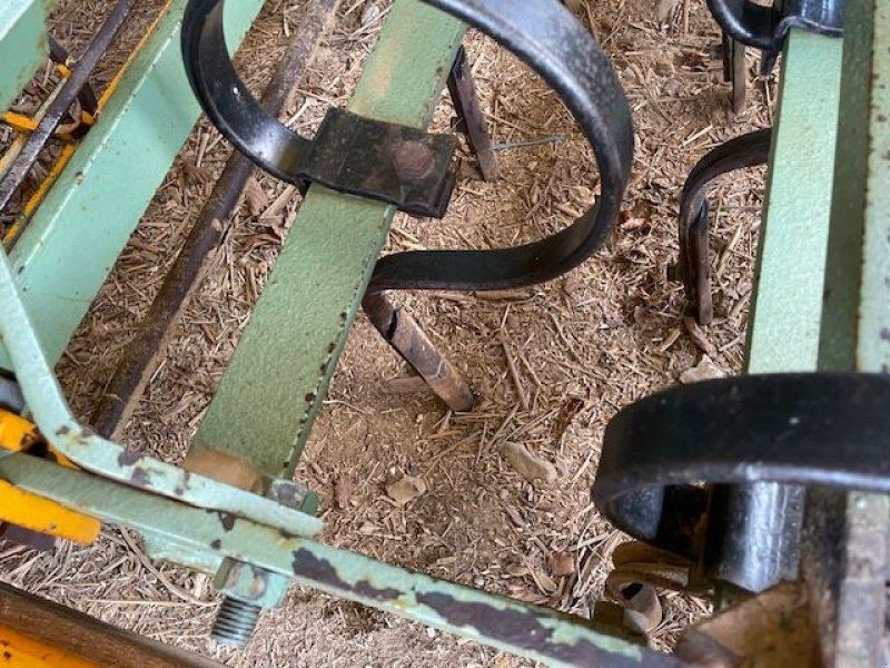 BICULTOR