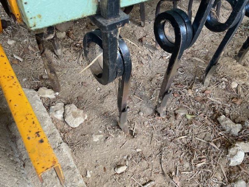 BICULTOR