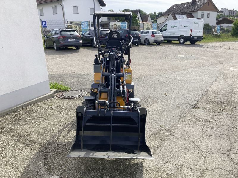 Giant G1100