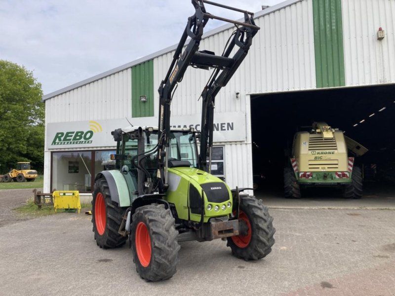 Claas Celtis