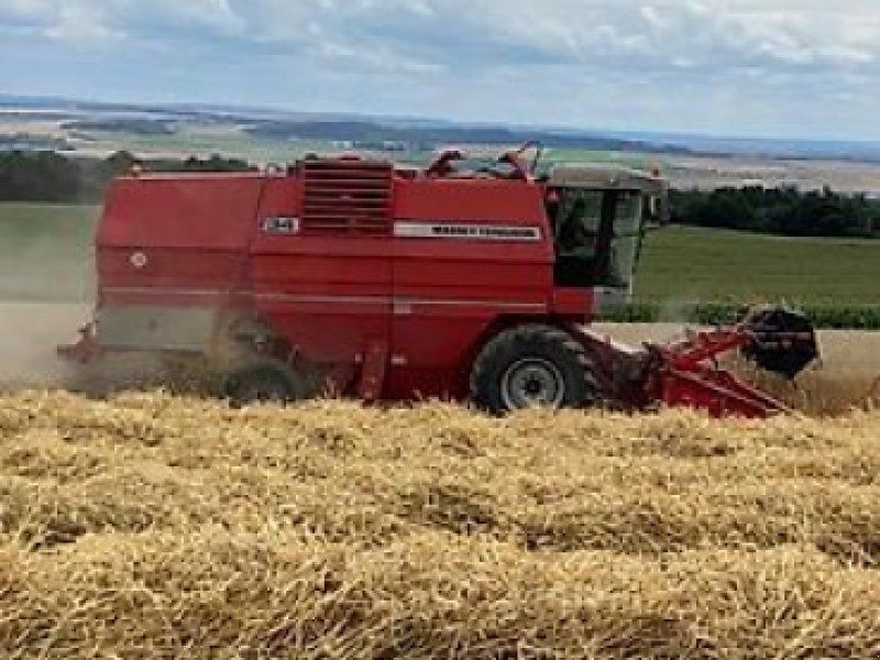 Massey Ferguson 34 AUTO-LEVEL POWERFLOW