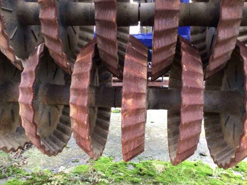 Dalbo Maxi Roll 630