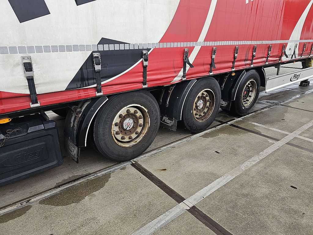 FLIEGL SDS 390