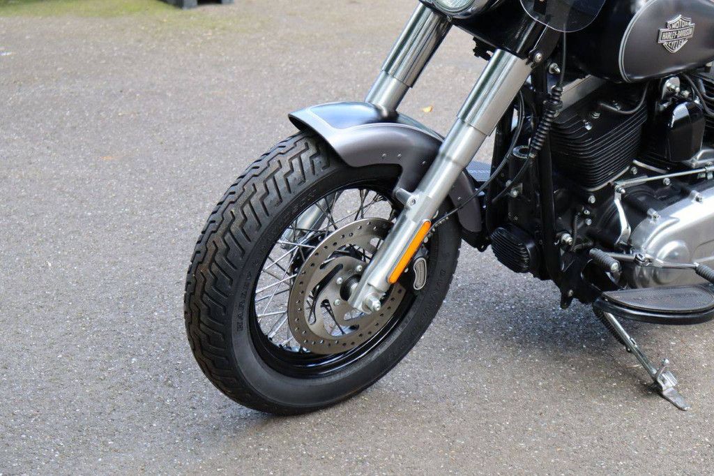 Harley-Davidson Softail Slim Petrol Motorcycle 2016 (Margin)