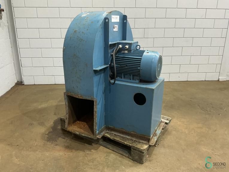 Fans Riedex 1996