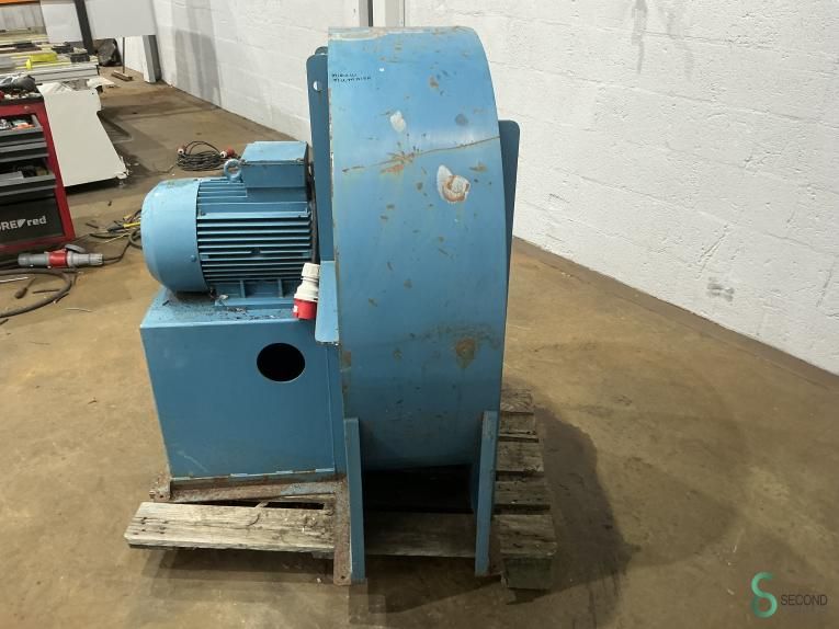 Fans Riedex 1996