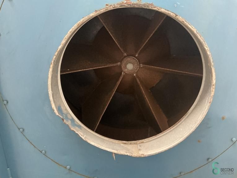 Fans Riedex 1996